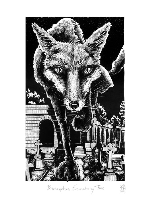 Brompton Cemetery Fox // Giclée Art Print